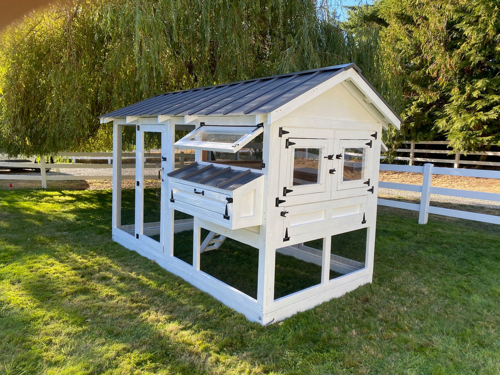 Walk-In Cedar Chicken Coop 6’ Wide – Handcrafted Douglas Fir Frame | Built On Site
