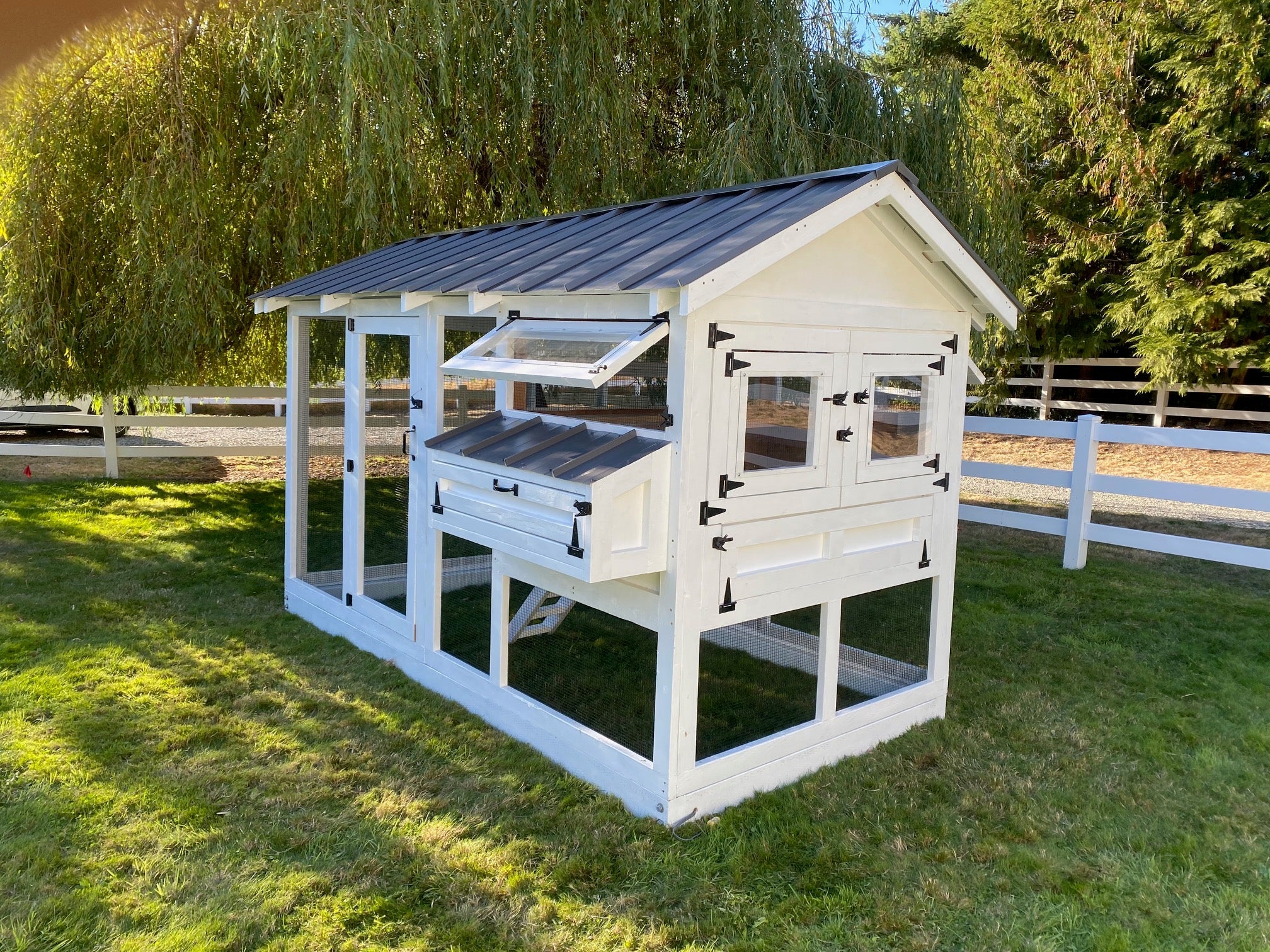 Walk-In Cedar Chicken Coop 6’ Wide – Handcrafted Douglas Fir Frame | Built On Site