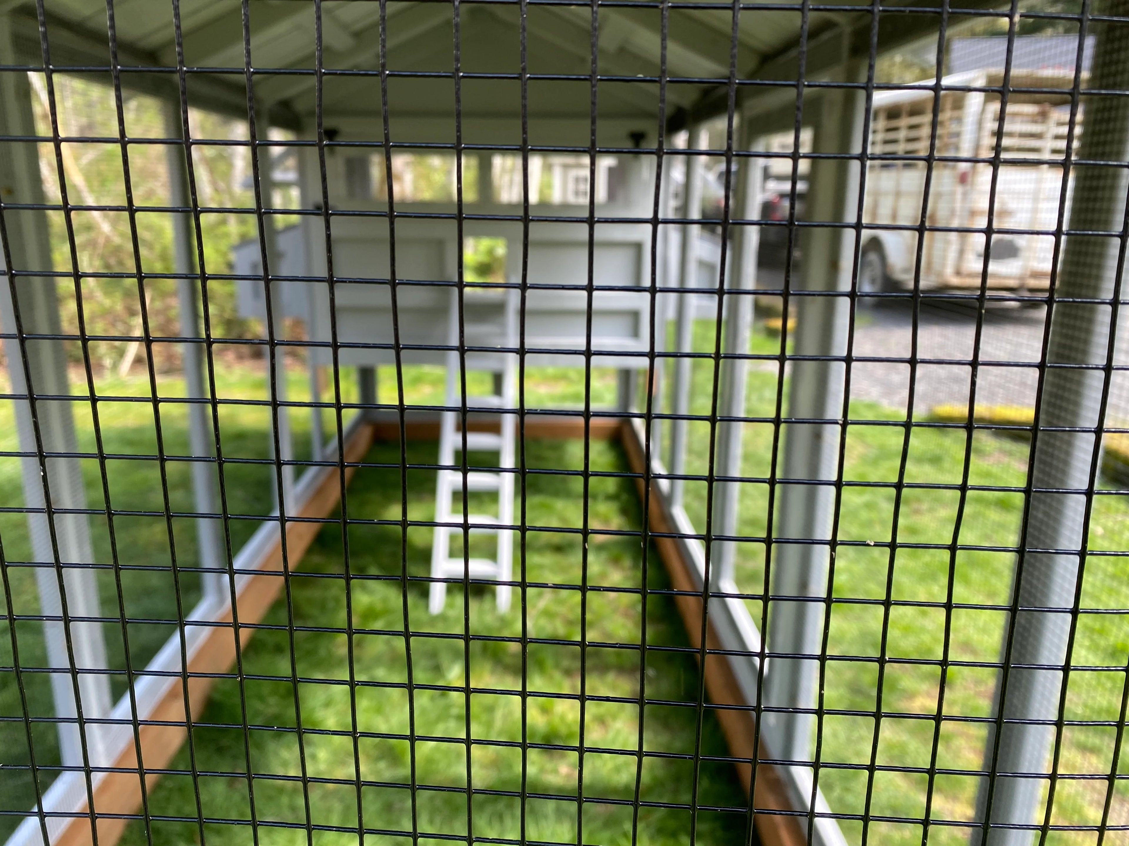 Walk-In Cedar Chicken Coop 6’ Wide – Handcrafted Douglas Fir Frame | Built On Site
