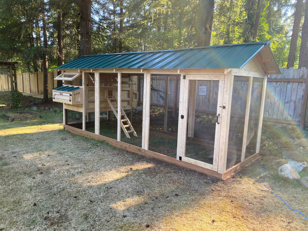 Walk-In Cedar Chicken Coop 6’ Wide – Handcrafted Douglas Fir Frame | Built On Site