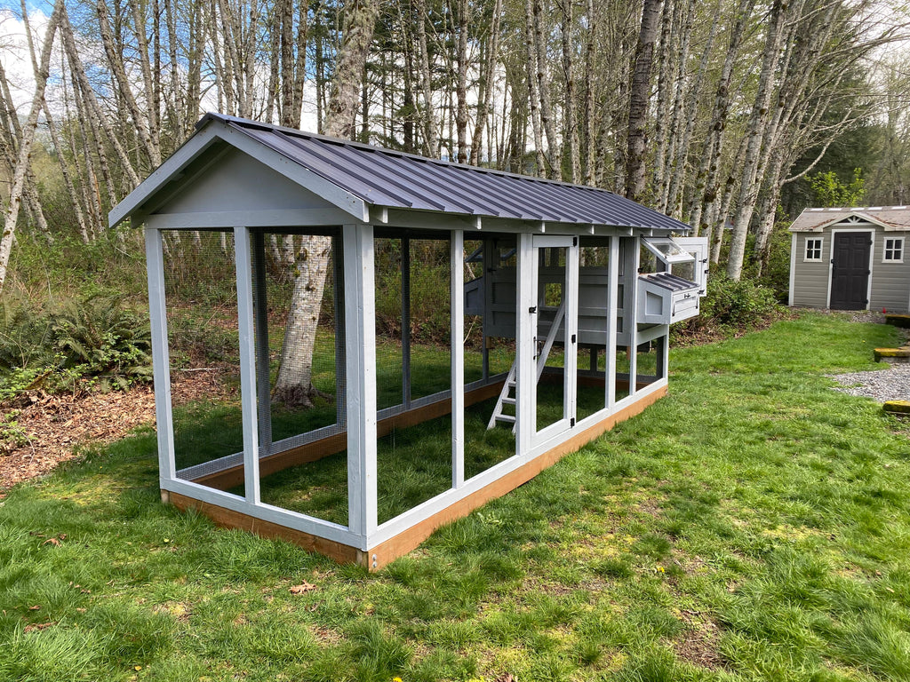 Walk-In Cedar Chicken Coop 6’ Wide – Handcrafted Douglas Fir Frame | Built On Site
