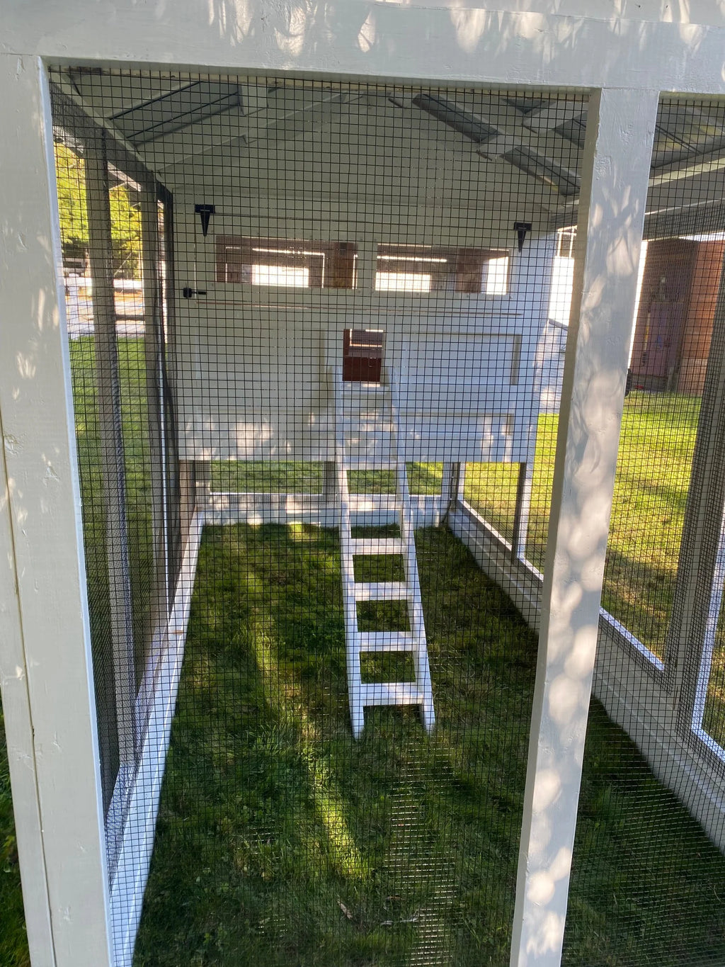 Walk-In Cedar Chicken Coop 6’ Wide – Handcrafted Douglas Fir Frame | Built On Site