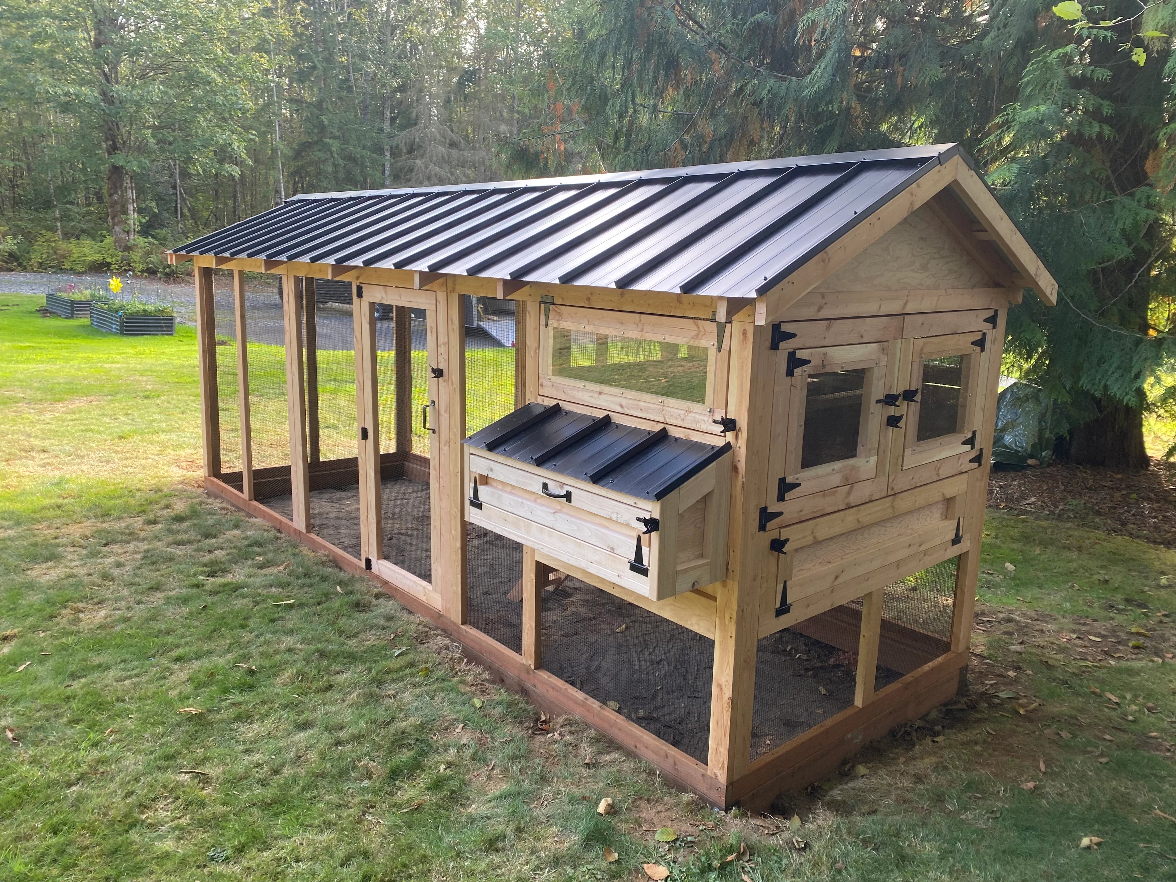 Walk-In Cedar Chicken Coop 6’ Wide – Handcrafted Douglas Fir Frame | Built On Site