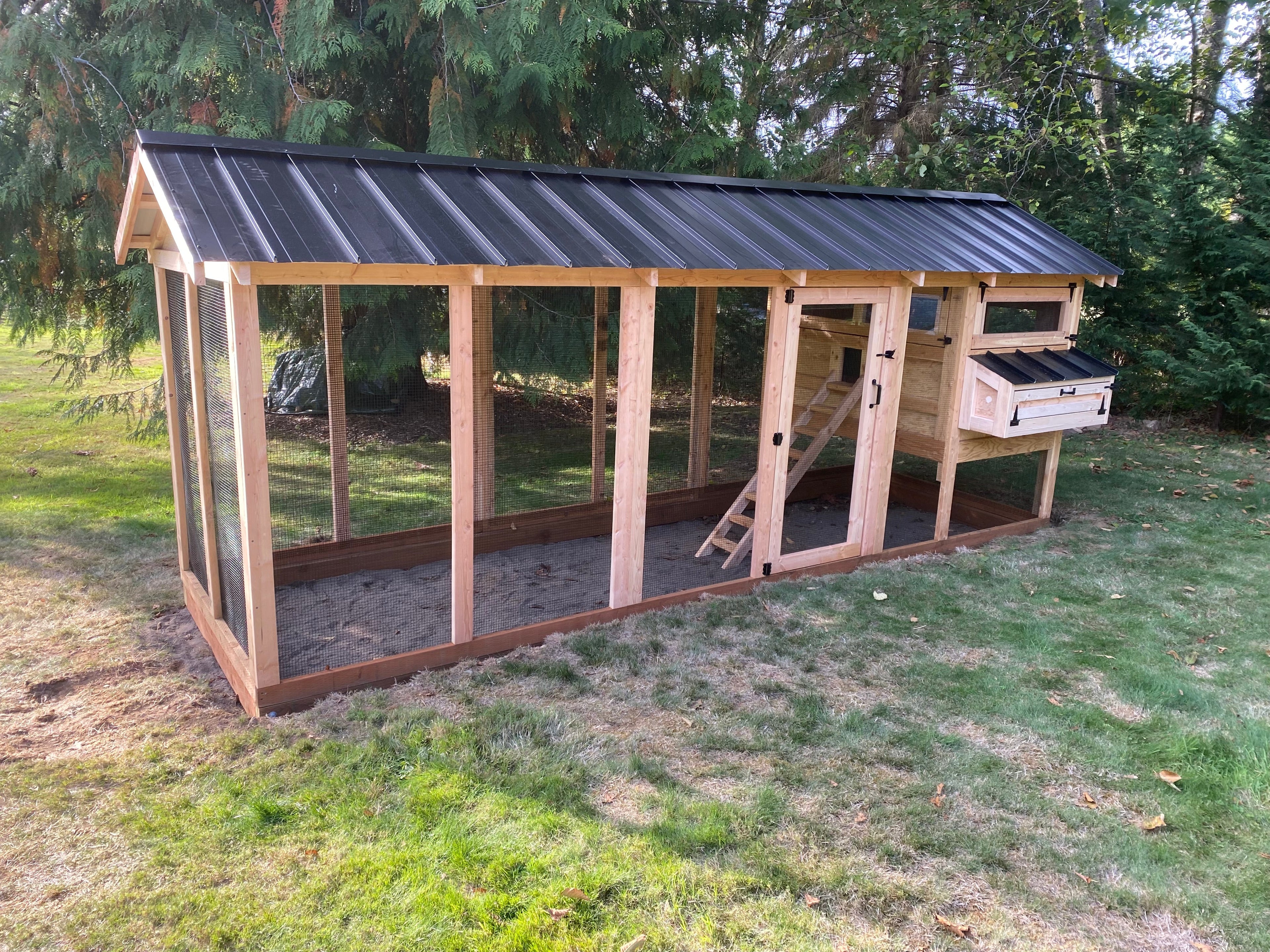 Walk-In Cedar Chicken Coop 6’ Wide – Handcrafted Douglas Fir Frame | Built On Site